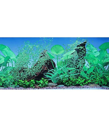 KW Zone Aquarium Backscreen (Picture) 12